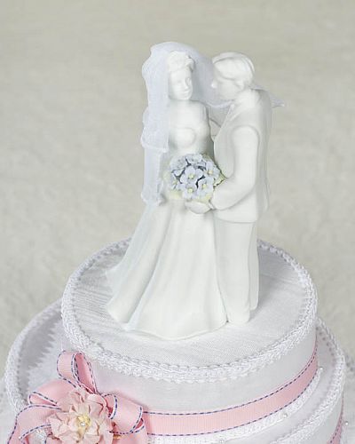 Hydrangea Flower Wedding Bride and Groom