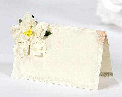 Gardenia Natural Paper Wedding Place Cards - Sets of 12