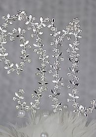 Large Crystal Vine Monogram Initial Cake Topper 