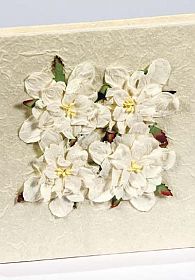 Gardenia Natural Paper Wedding Guestbook